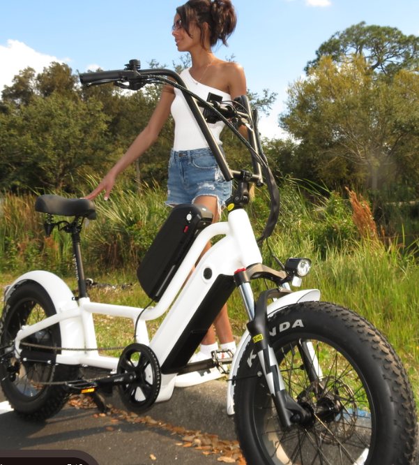 Lazy Cruiser 48v Dual Battery