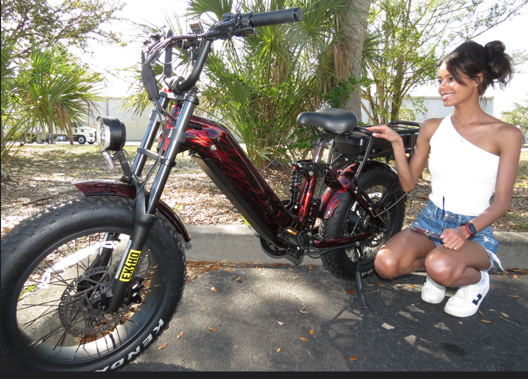 Amp E Bike 52v 2000Watt Motor Dual 45 Amp Battery & 35 mph Top Speed C – Zoo Keeper Bike